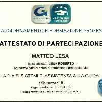 A.D.A.S Sistemi di Assistenza alla Guida